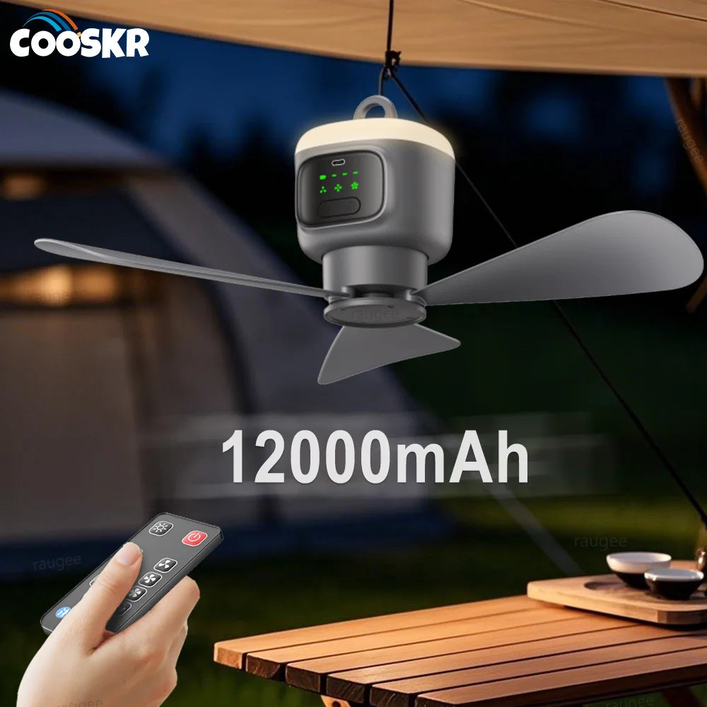Ventilateur de plafond portable